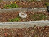 image of grave number 721098